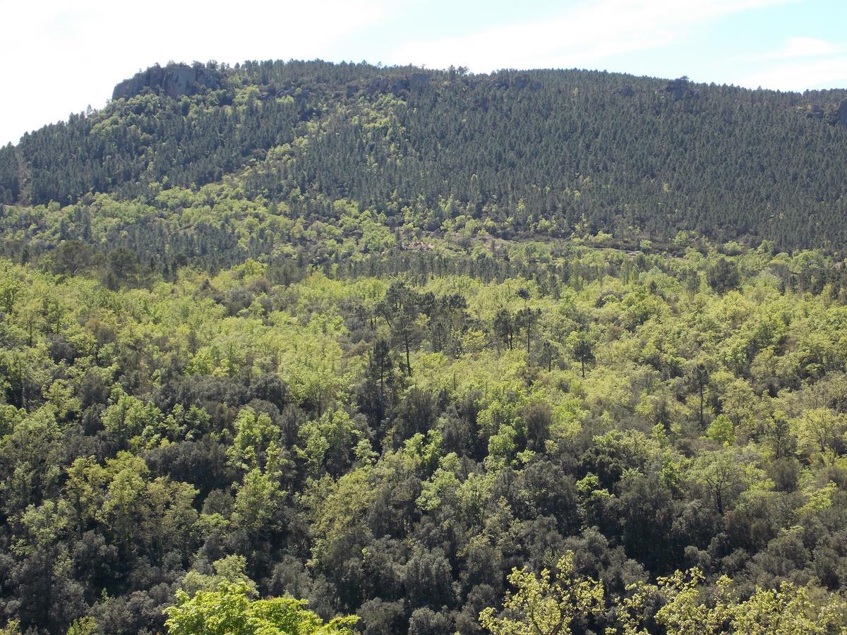 Au Relais Provencal Otel Bagnols-en-Forêt Dış mekan fotoğraf